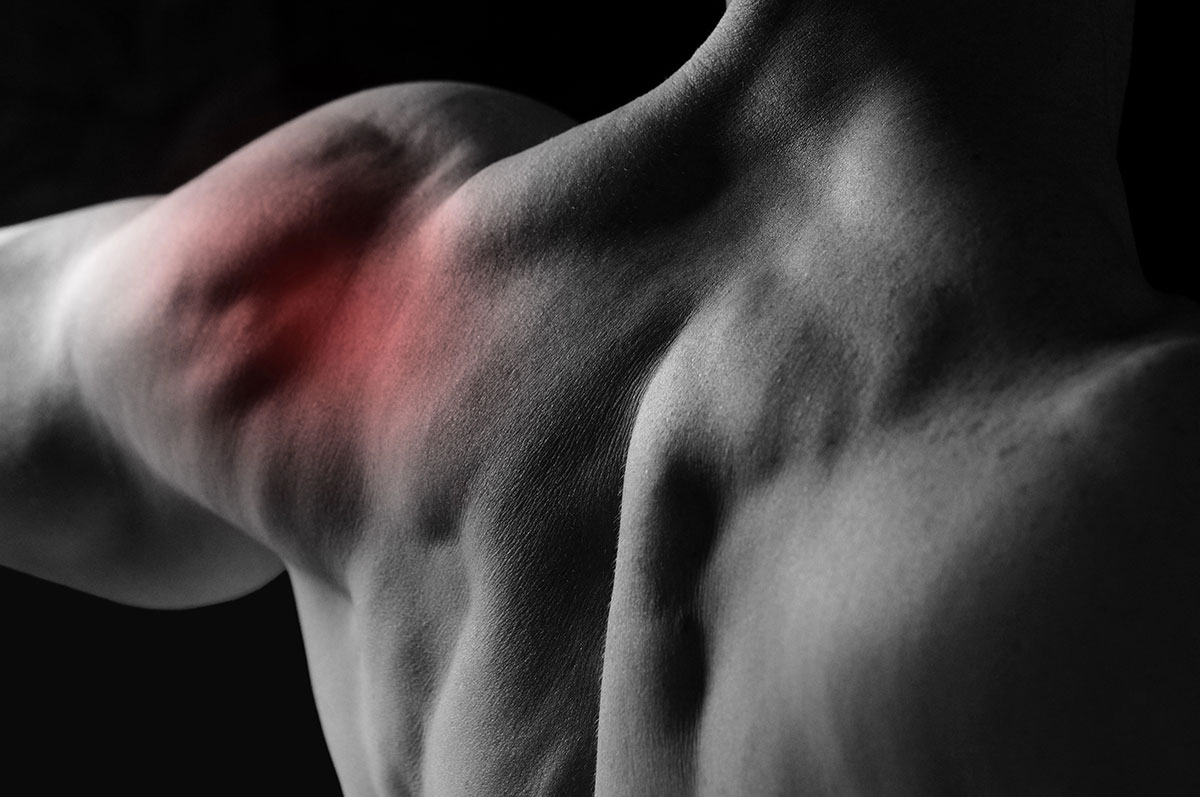 Bucks County Orthopedic Specialists | Fitness Physical Therapy